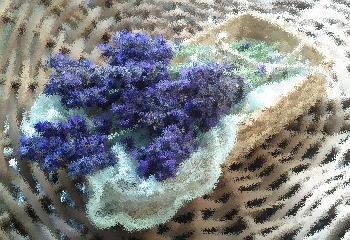 Lavender bouquet