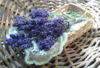 Lavender bouquet